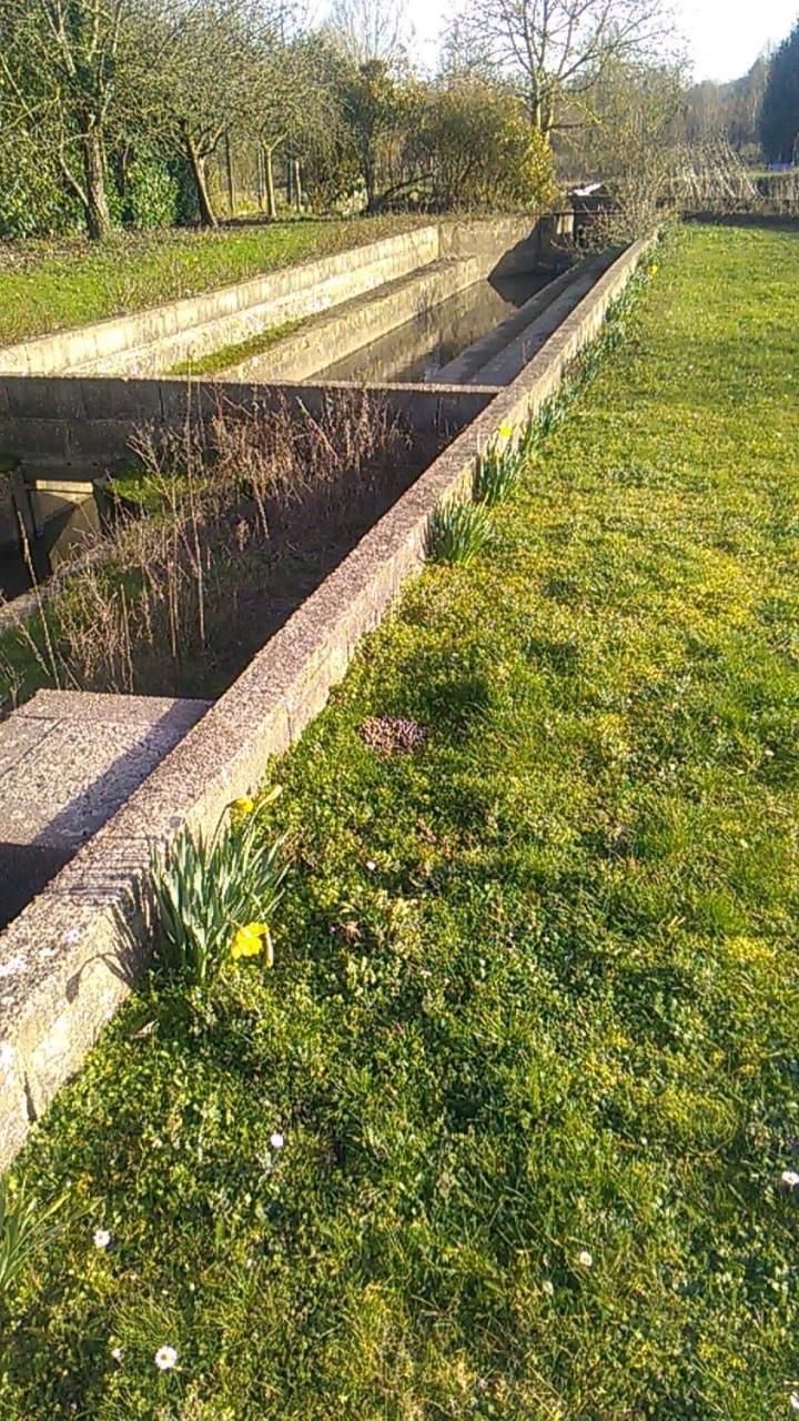 Gite Du Pont De Tancelle Preaux  Экстерьер фото